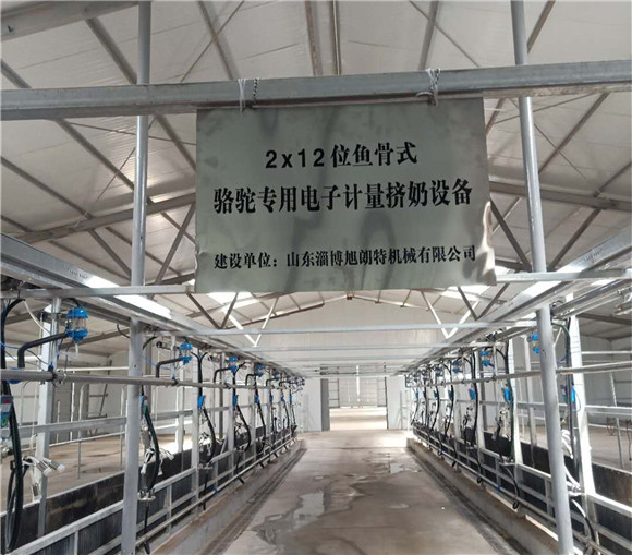 擠奶裝備擠奶廳